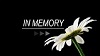 Eddy, Esther Jean (Wise) - Obituary