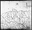 1940 Census - Greene Co., PA Map 02 1940 Census - Greene Co., PA Map 02