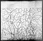 1940 Census - Greene Co., PA Map 11 1940 Census - Greene Co., PA Map 11